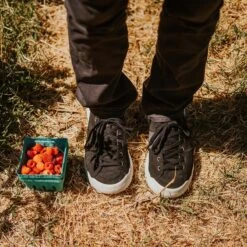 Men's X-Scape NBK Low Sneaker - Black/White - Regular (D) 18 Men's X-Scape NBK Low Sneaker - Black/White - Regular (D) -Cheap Outmove Shoes Store mens x scape nbk low black white ls 1 800x 3a6d1a12 7fd3 4c79 ac9d 13c24d0fd9ec